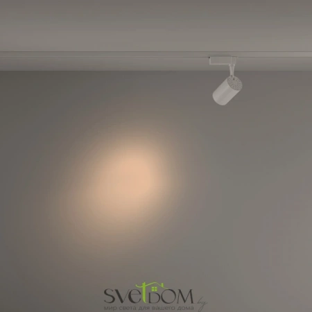 TR003-1-10W3K-S-W Maytoni