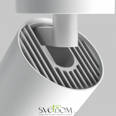 Потолочные светильники Maytoni C055CL-L12W4K-Z-W от Магазина Svetdom.by