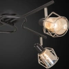 Потолочная люстра Citilux Таверна CL542541 CITILUX