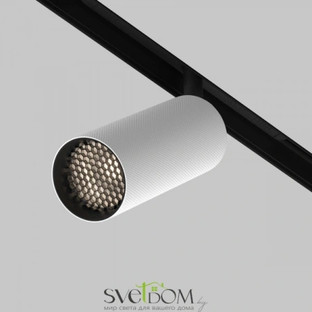 TR097-2-12W4K-M-BW Maytoni