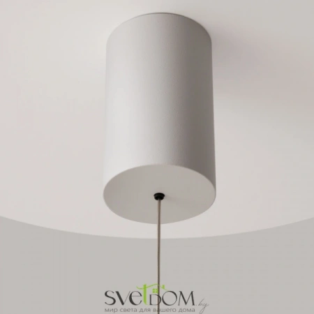 Подвесные светильники Maytoni P076PL-L12W4K-W от Магазина Svetdom.by