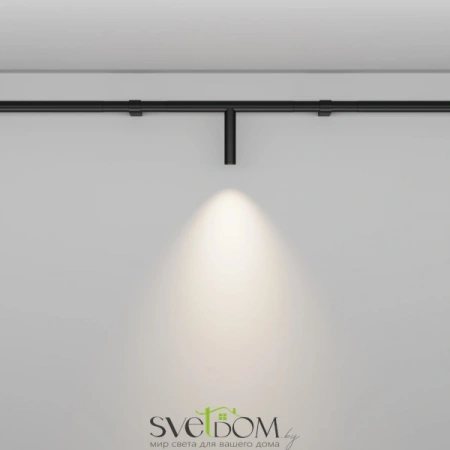 Светильники Maytoni C102CL-3W3-6K-B от Магазина Svetdom.by