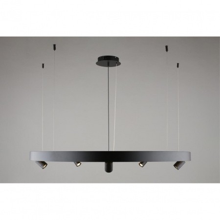 Люстры подвесныеAPL.041.13.75 Aployt | Svetdom.by