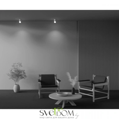 Фото Потолочные светильники Maytoni C007CW-01W Потолочные светильники Maytoni C007CW-01W от Магазина Svetdom.by