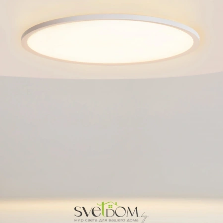 Потолочные светильники Maytoni MOD426CL-L74WK от Магазина Svetdom.by