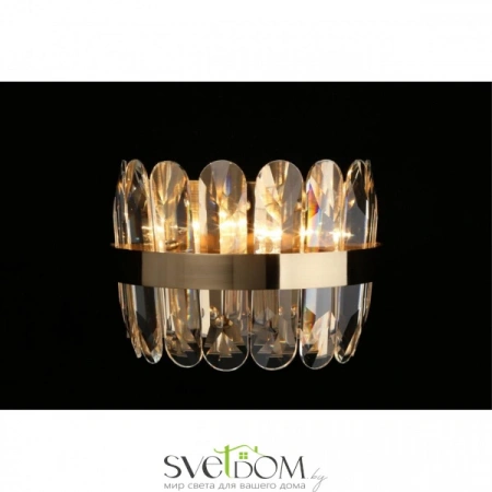 Настенные светильники APL.749.01.02 Aployt | Svetdom.by