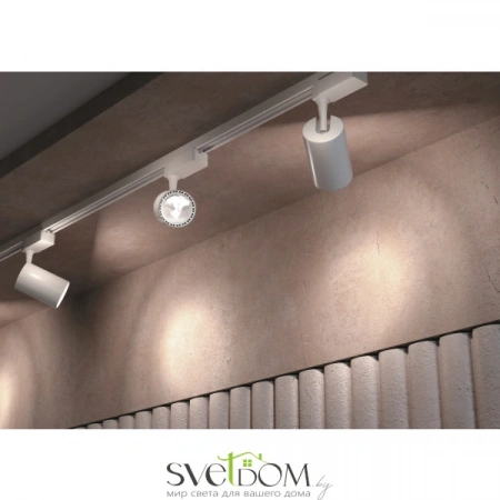 TR003-1-30W4K-W Maytoni