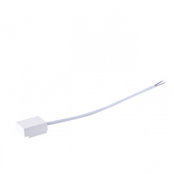 1011-CW-033 Favourite