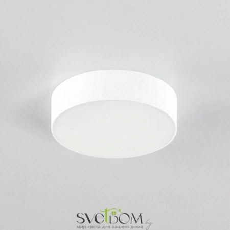 Накладные светильники CITILUX CL712120N от Магазина Svetdom.by