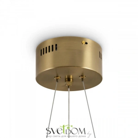 Подвесные светильники Freya FR5591PL-L36BS от Магазина Svetdom.by