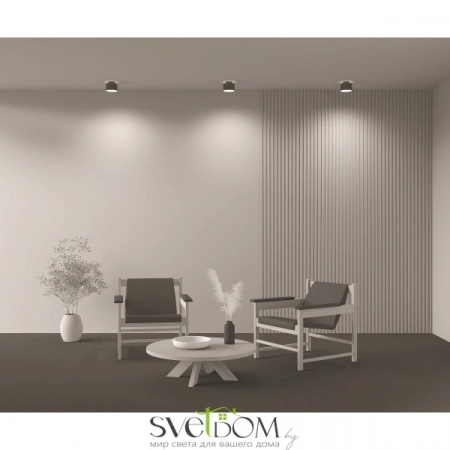 Фото Потолочные светильники Maytoni C009CW-L16B Потолочные светильники Maytoni C009CW-L16B от Магазина Svetdom.by