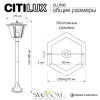 CLU10B CITILUX