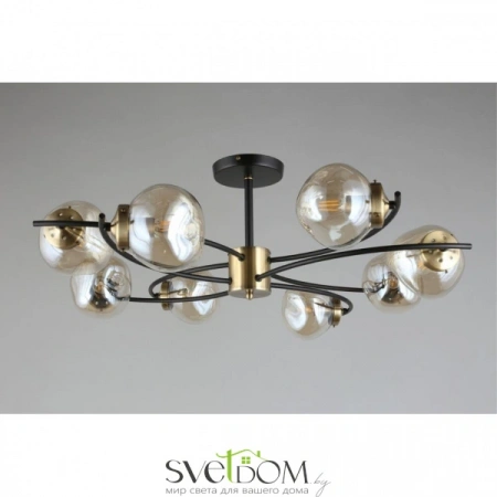 Люстры потолочныеOML-95307-08 Omnilux | Svetdom.by