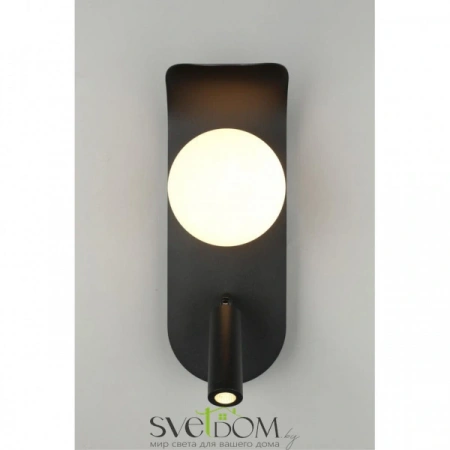 Настенные светильники APL.345.01.02 Aployt | Svetdom.by