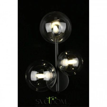 Бра APL.334.01.03 Aployt | Svetdom.by