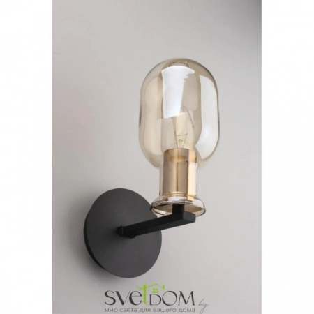 Настенные светильники APL.901.01.01 Aployt | Svetdom.by