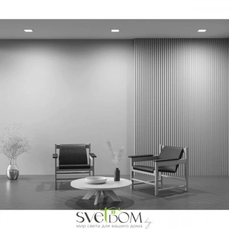 Встраиваемые светильники Maytoni DL020-6-L12W от Магазина Svetdom.by