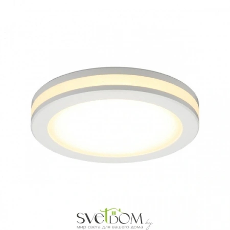 Накладные светильники Aployt APL.0013.09.09 от Магазина Svetdom.by