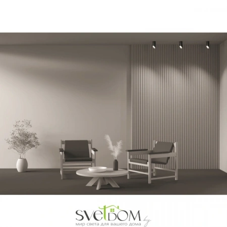 Потолочные светильники Maytoni C044CL-01-15GU10-B от Магазина Svetdom.by