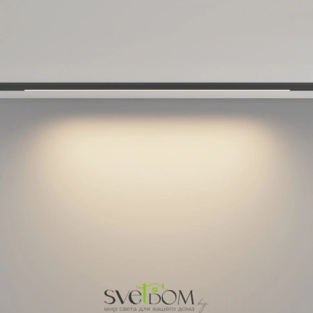 TR190-1-10W3K-B Maytoni