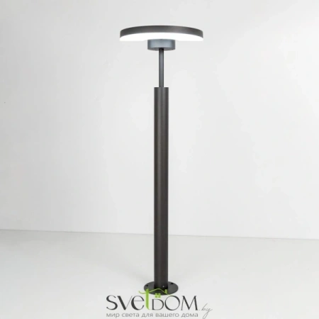 Citilux CLU03B1 LED Уличный парковый светильник поворотный Графит CITILUX