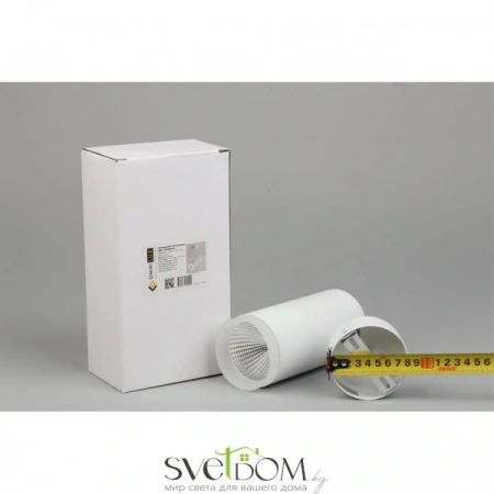Настенно-потолочные светильники Omnilux OML-102609-20 от Магазина Svetdom.by