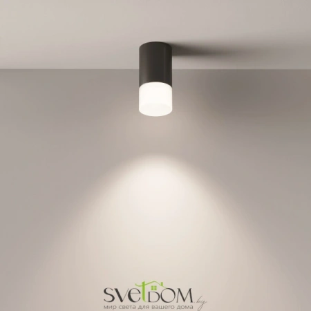 Потолочные светильники Maytoni C007CW-01B от Магазина Svetdom.by