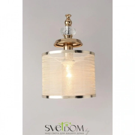 Настенные светильники APL.720.01.01 Aployt | Svetdom.by