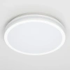 Накладной светильник Citilux LUNS CL711020V CITILUX