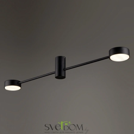 Потолочные светильники Freya FR5363CL-02B1 от Магазина Svetdom.by