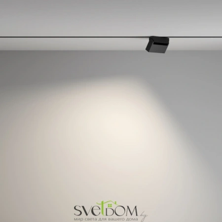 TR077-2-10W4K-B Maytoni