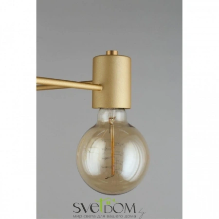 Люстры потолочныеAPL.911.07.05 Aployt | Svetdom.by