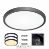 Citilux Бейсик CL738241V Светильник накладной Чёрный CITILUX
