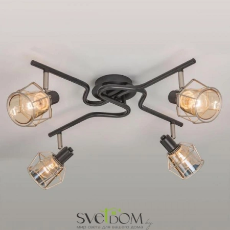 Люстры потолочныеCL542541 CITILUX | Svetdom.by