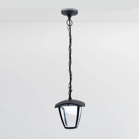 Уличный подвесной светильник Citilux GARDA CLU04P CITILUX