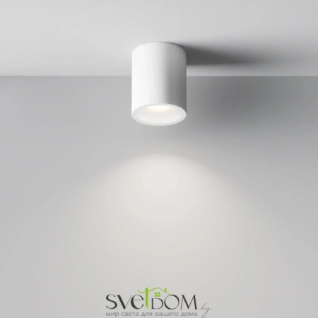 Потолочные светильники Maytoni C001CW-01W от Магазина Svetdom.by