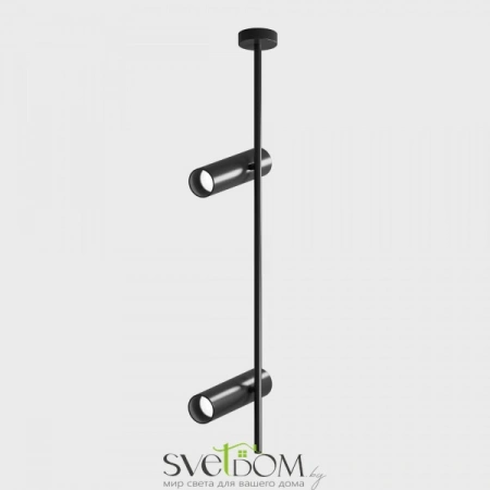 Потолочные светильники Maytoni C021CL-02B от Магазина Svetdom.by