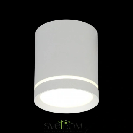 Накладные светильники Omnilux OML-102409-05 от Магазина Svetdom.by