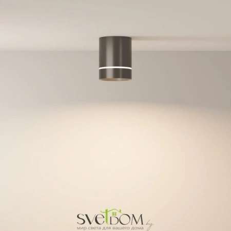 Потолочные светильники Maytoni C085CL-9W4K-B от Магазина Svetdom.by