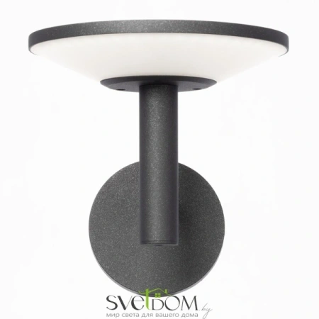 Citilux Dorn CLU05W LED Уличный настенный светильник Графит CITILUX