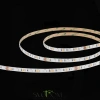 ST019.418.20RGBW Светодиодная лента SMD5050  - -*86W RGB+4000K 300Lm Ra>90 IP20 L1 000xW10xH- 24V Светодиодные ленты ST LUCE