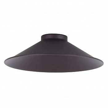 Citilux Эдисон CL450.11 Плафон