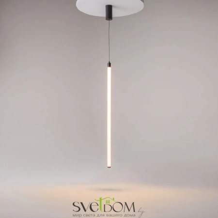 Подвесные светильники Maytoni P022PL-L20B3K от Магазина Svetdom.by