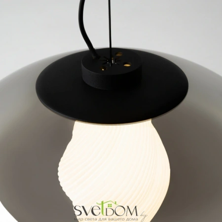 Подвесные светильники Maytoni MOD406PL-L8B3K от Магазина Svetdom.by