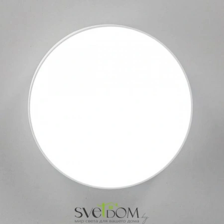 Накладные светильники CITILUX CL712120N от Магазина Svetdom.by