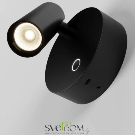 Настенные светильники C079WL-L3B3K Maytoni | Svetdom.by