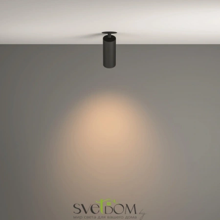 Потолочные светильники Maytoni C053CL-L12W3K-W-B от Магазина Svetdom.by