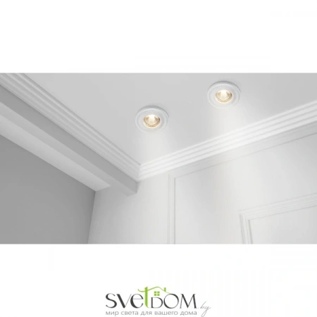 Встраиваемые светильники Maytoni DL283-1-01-W от Магазина Svetdom.by