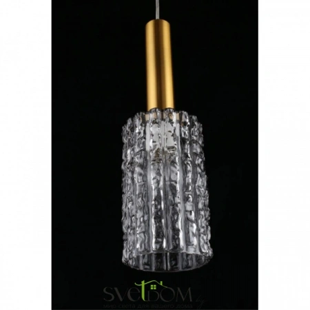 Подвесные светильники Aployt APL.310.16.01 от Магазина Svetdom.by