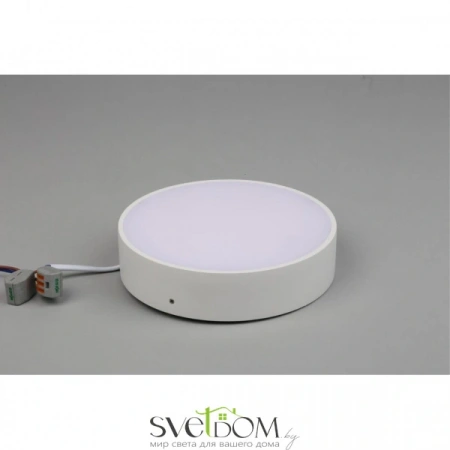 Настенно-потолочные светильники Aployt APL.0113.09.18 от Магазина Svetdom.by